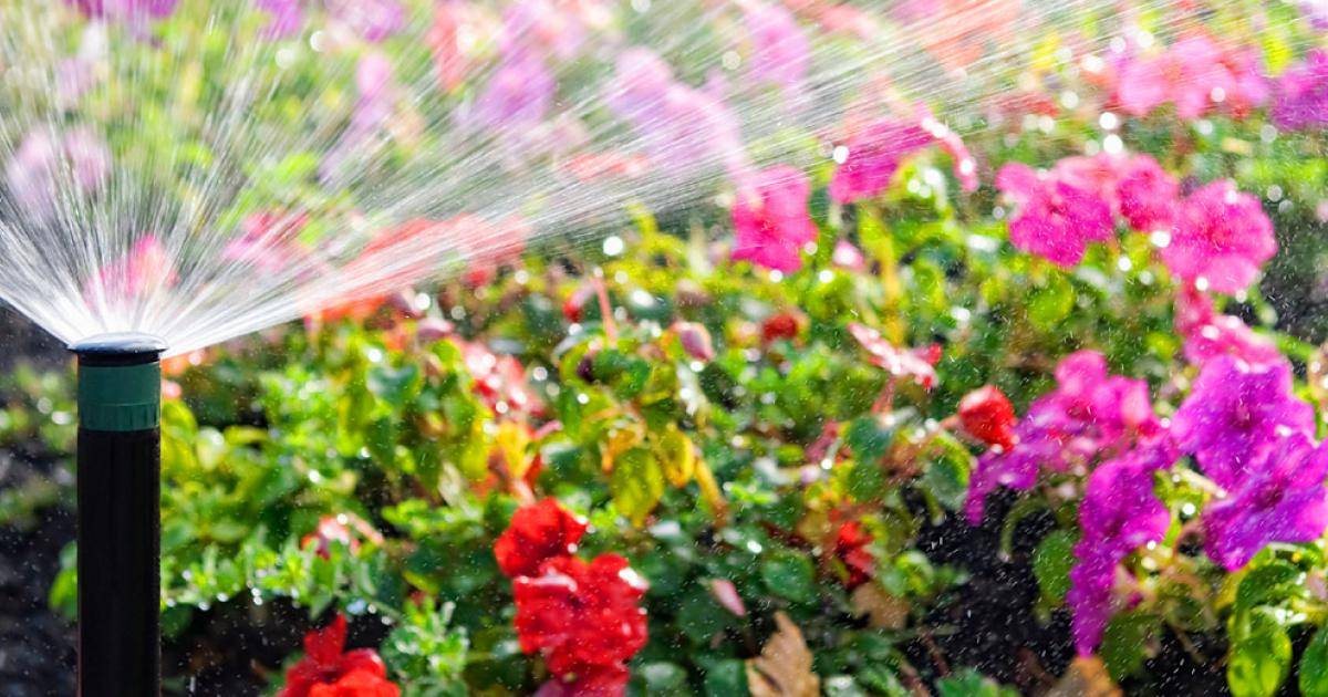 Ewing Irrigation Increases Inventory Accuracy by 100